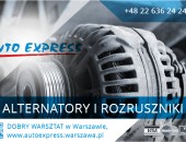 ALTERNATORY I ROZRUSZNIKI